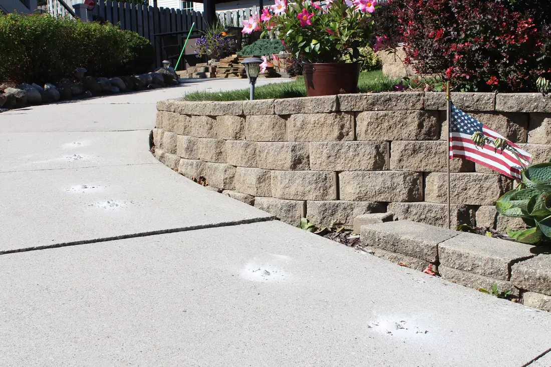 After shop floor leveling in Berrien County, MI with lifted and leveled residential concrete